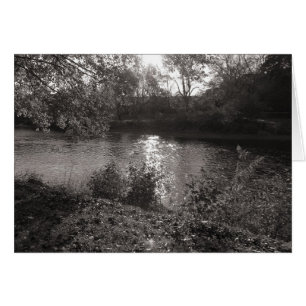 Luz solar en el Taff, Bute Park, Cardiff