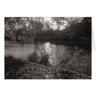 Luz solar en el Taff, Bute Park, Cardiff