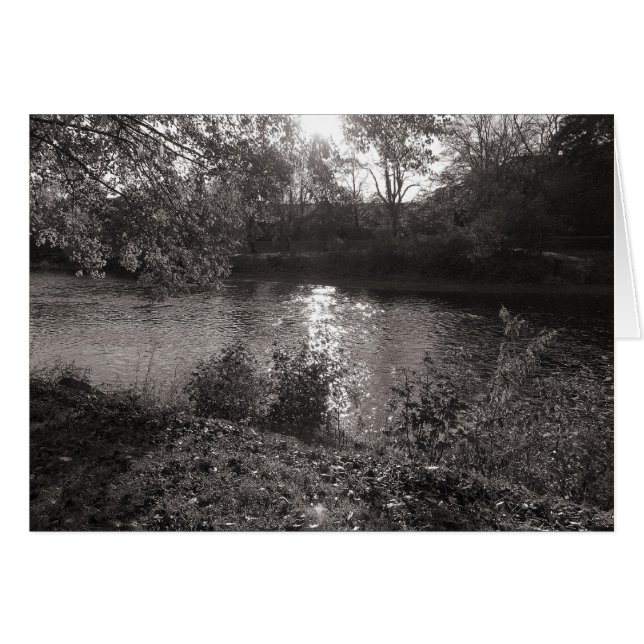 Luz solar en el Taff, Bute Park, Cardiff (Anverso (Horizontal))