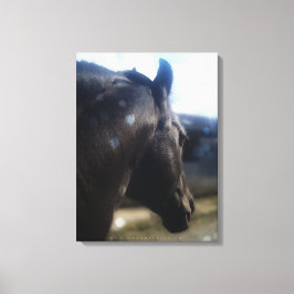 Luz solar - Lienzo envuelto