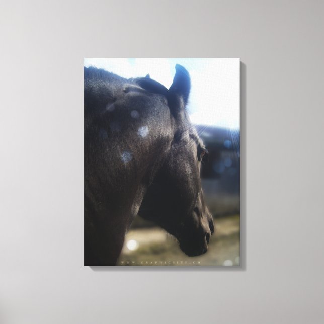 Luz solar - Lienzo envuelto (Anverso)