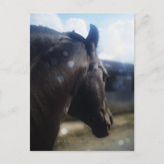 Luz solar - postal (Anverso)