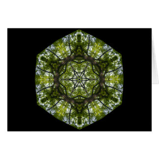 Luz y modelo en las hojas