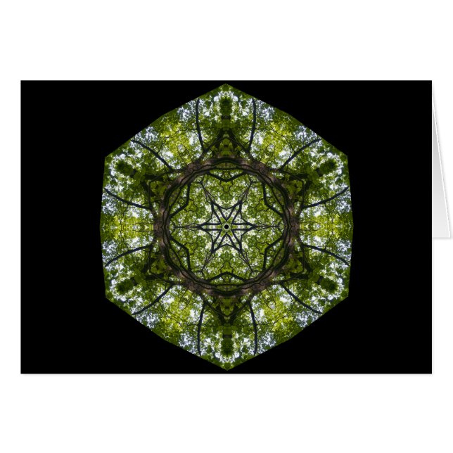 Luz y modelo en las hojas (Anverso (Horizontal))