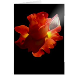 Lydia subió la tarjeta