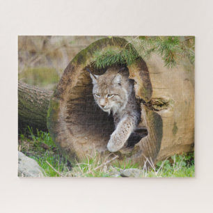 Lynx en rompecabezas de Log Jigsaw