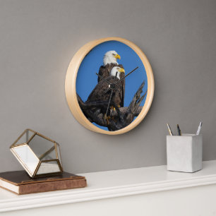 M15 y F23 - Nueva pareja en el reloj de pared del
