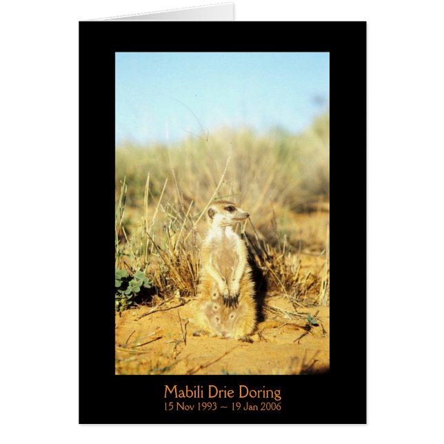 Mabili - tarjeta de las leyendas (Frente)