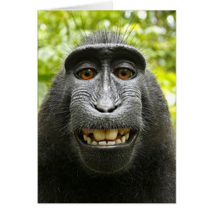 Macaque de celebridades retenidas sonrientes