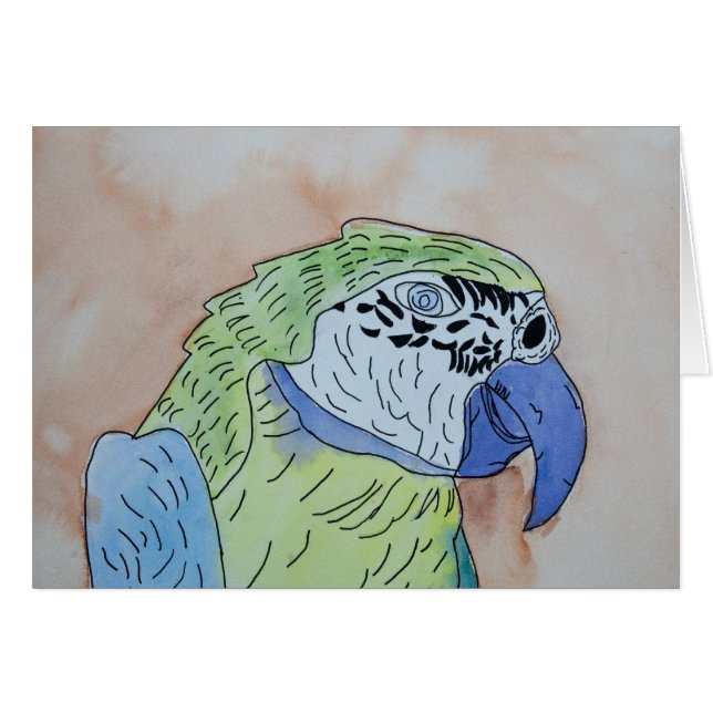 Macaw (Anverso (Horizontal))