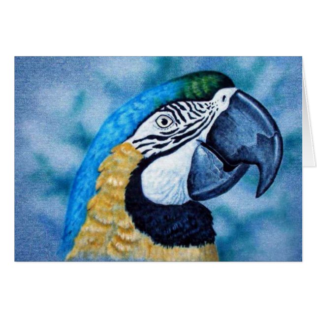 Macaw (Anverso (Horizontal))