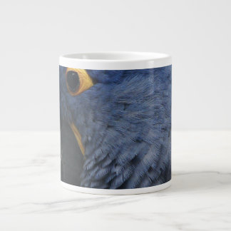 Macaw azul grande en la taza de café grande