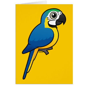 Macaw Azul-y-amarillo