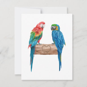 Macaw Bird Lover Watercolor