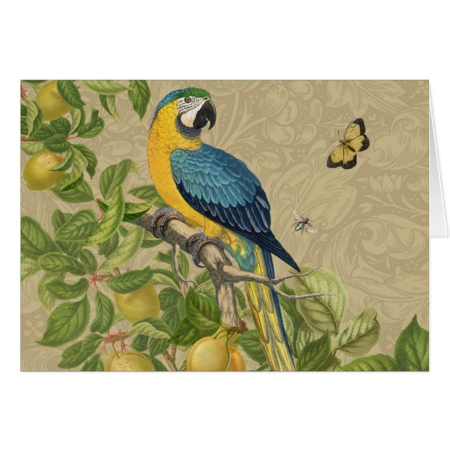 Macaw Blue Yellow Tropical Jungle Antigüedad (Anverso (Horizontal))