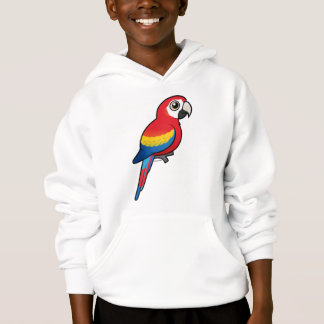 Macaw del escarlata