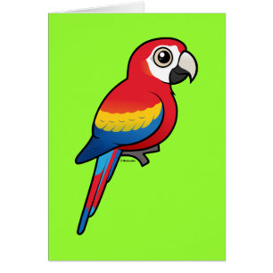 Macaw del escarlata