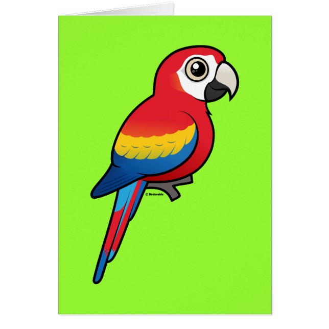 Macaw del escarlata (Frente)