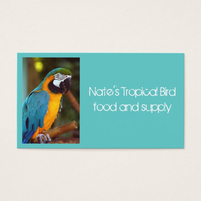 Macaw masculino (Frente)