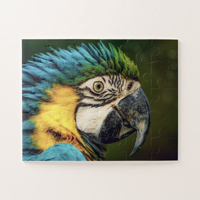 Macaw Parrot Bird Animal rompecabezas (Horizontal)