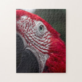 Macaw Rojo - Rompecabezas fotográfico HD