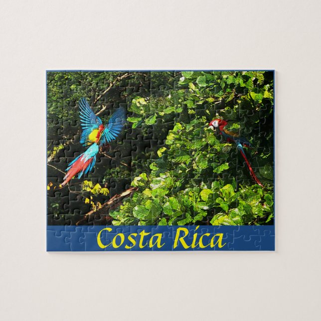 Macaws del escarlata de la caja del rompecabezas (Horizontal)