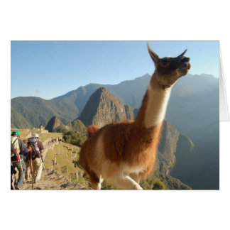 Macchu Picchu