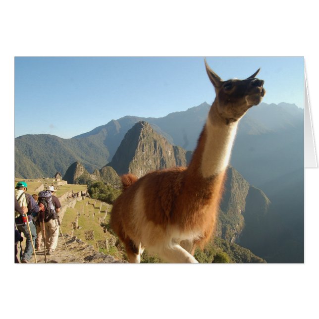 Macchu Picchu (Anverso (Horizontal))