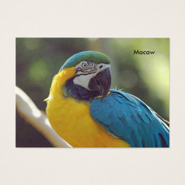 machacar (Frente)