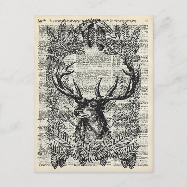 Macho del navidad (Anverso)