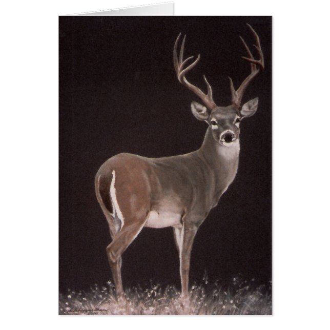 Macho ideal (Frente)