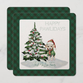 MacLean Hunting Ancient Tartan Happy Pawlidays