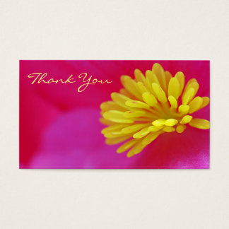 macro de flor gracias