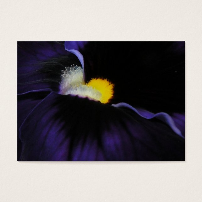 Macro de violeta púrpura ATC 2 (Frente)