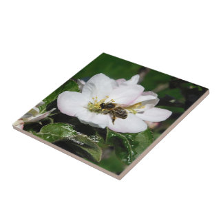 Macro Foto de Flor de Manzano y Abeja | Baldosa Ce