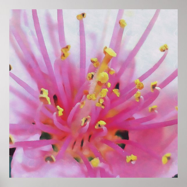 Macromacro de polen rosado Resumen Arte (Frente)