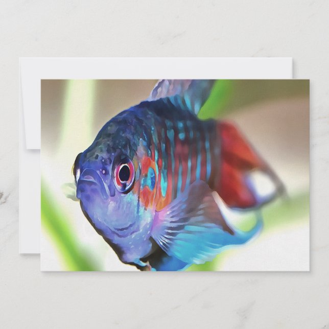 Macropodus Opercularis Aquarium Fish (Anverso)