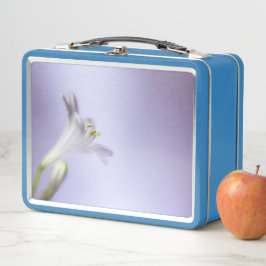 Macros Flores Flores Blossom Pétalos Bloom Espacio