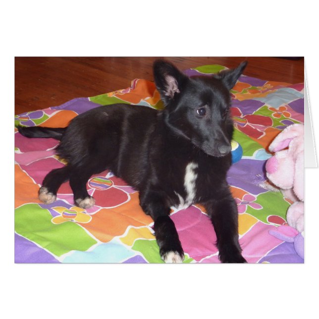 Macy (Anverso (Horizontal))