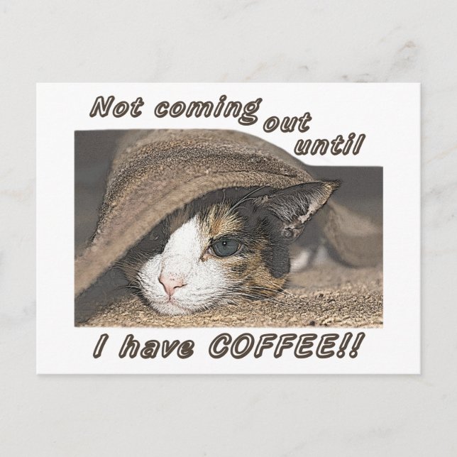 Macy quiere café para postear tarjeta (Anverso)