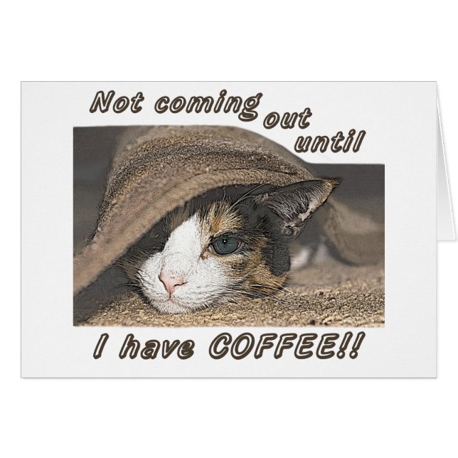 Macy también quiere café (Anverso (Horizontal))