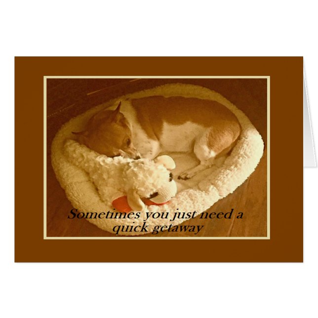 "Macy with Lamb Chop" 5 x 7 Tarjeta con sobre (Anverso (Horizontal))