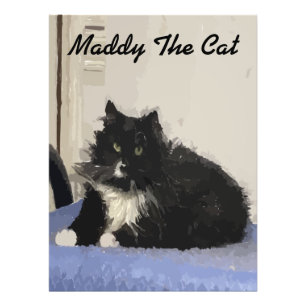 Maddy La Foto Del Poster Del Gato
