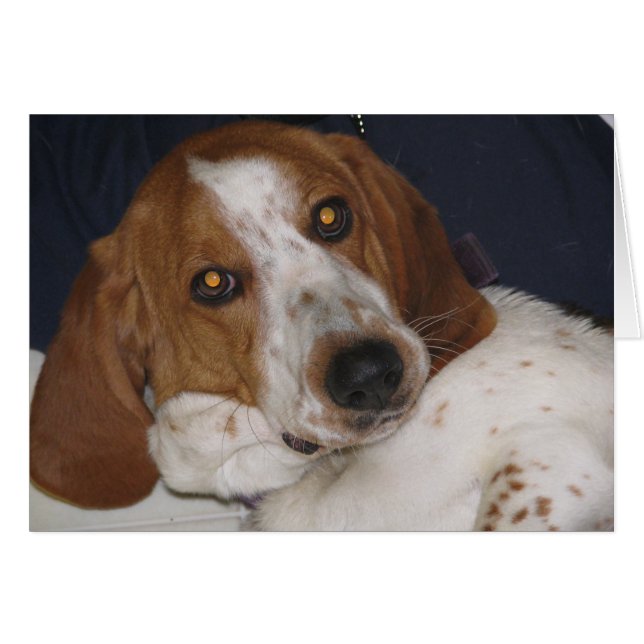 Maddy May (Anverso (Horizontal))