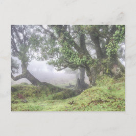 Madeira - Laurel en la postal de niebla