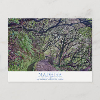 Madeira - postal de Caldeirao Verde con texto