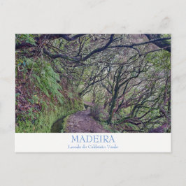Madeira - postal de Caldeirao Verde con texto