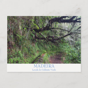 Madeira - postal de Caldeirao Verde con texto