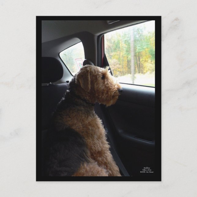 Madeleine toma postal (Anverso)