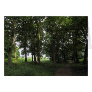 Madera, Bute Park Cardiff